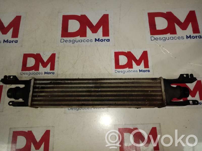 Radiador intercooler