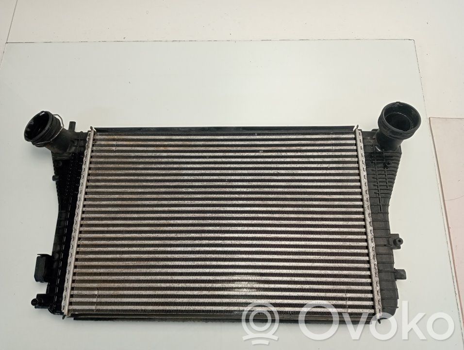 Seat Altea Interkūlerio radiatorius 