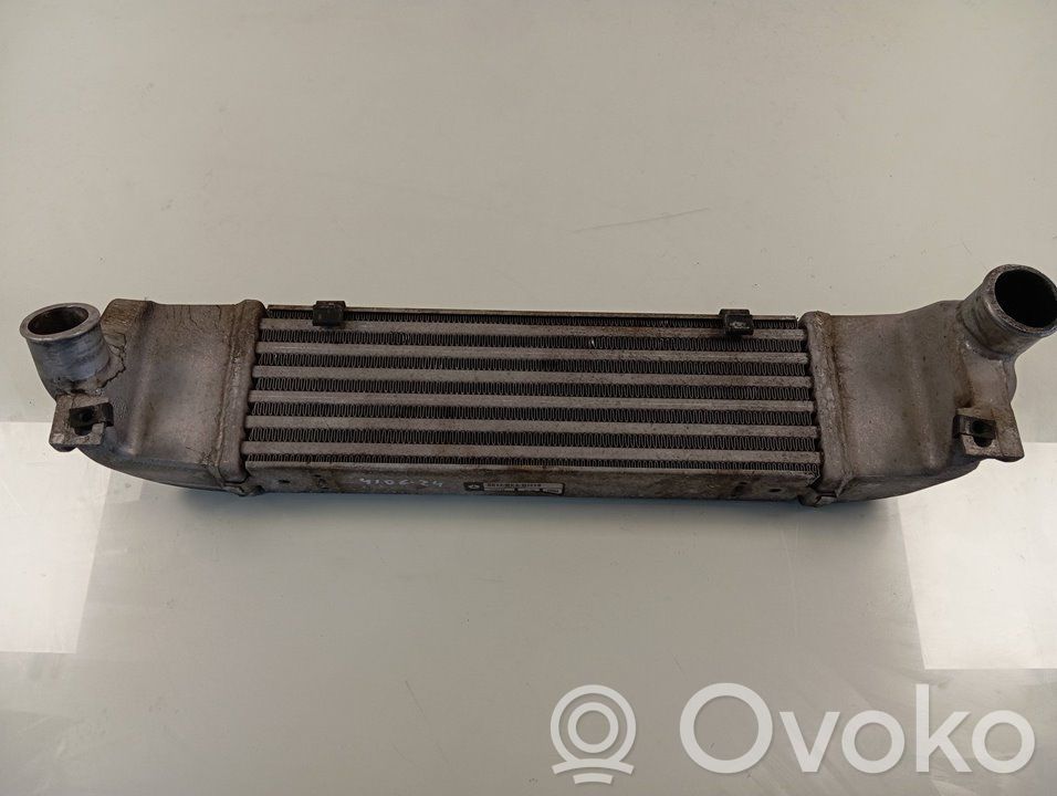 Intercooler radiator   875076B