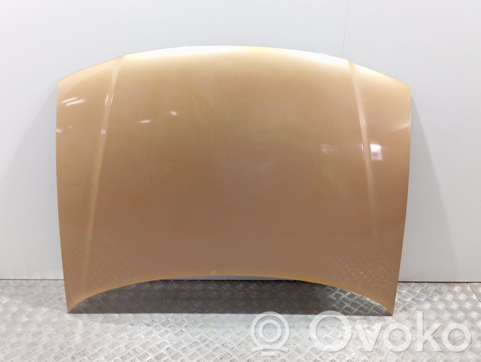 Konepelti   8L0823029C