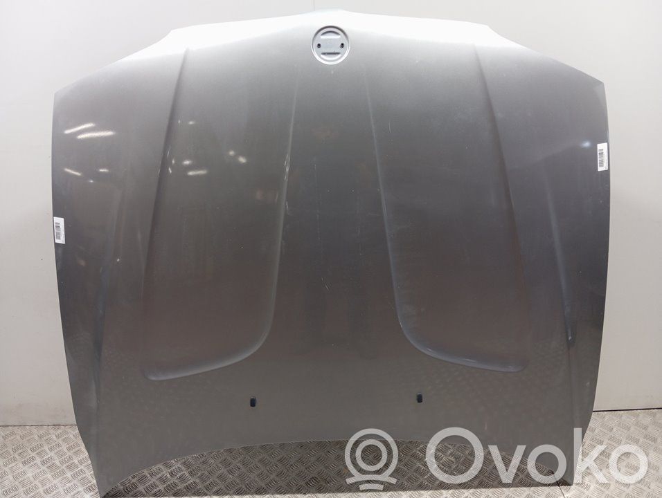 Motorhaube   41003449411
