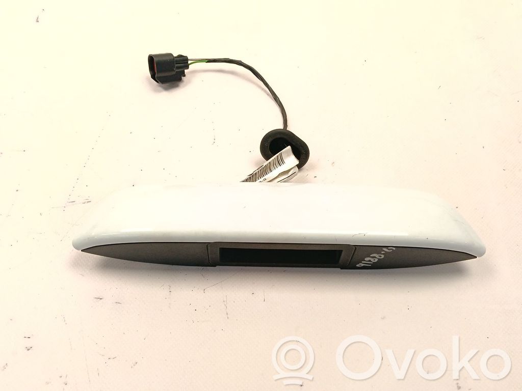 Manecilla externa puerta trasera   1705156,AM51402B34AEXWAA