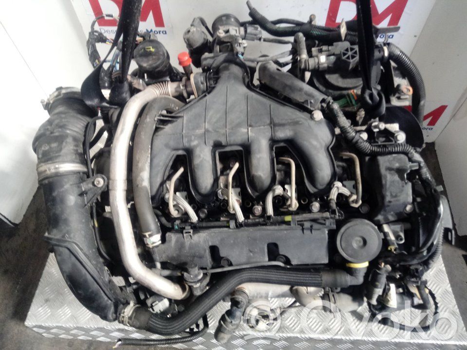 Motor   RH01