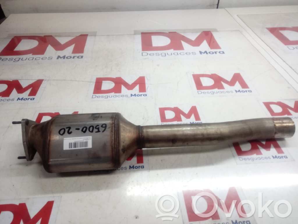 Volkswagen Phaeton Filtro antiparticolato catalizzatore/FAP/DPF 
