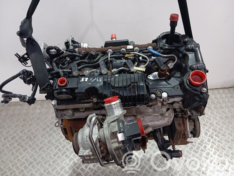 Ford Transit -  Tourneo Connect Engine 