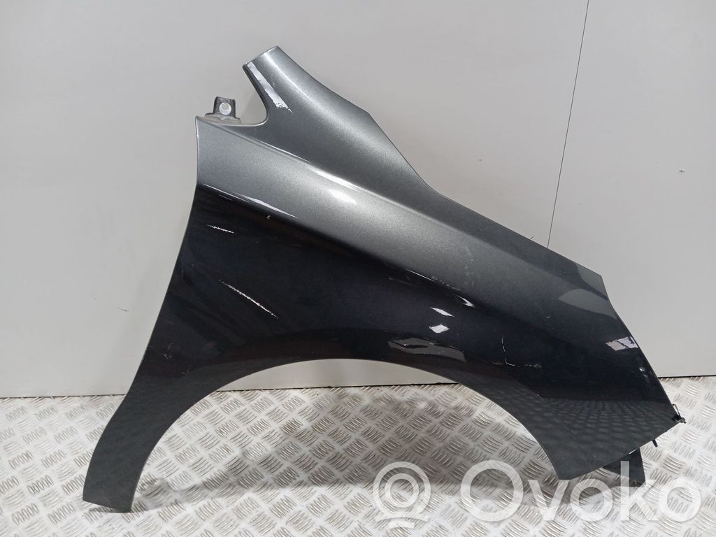 Guardabarro   7841AX