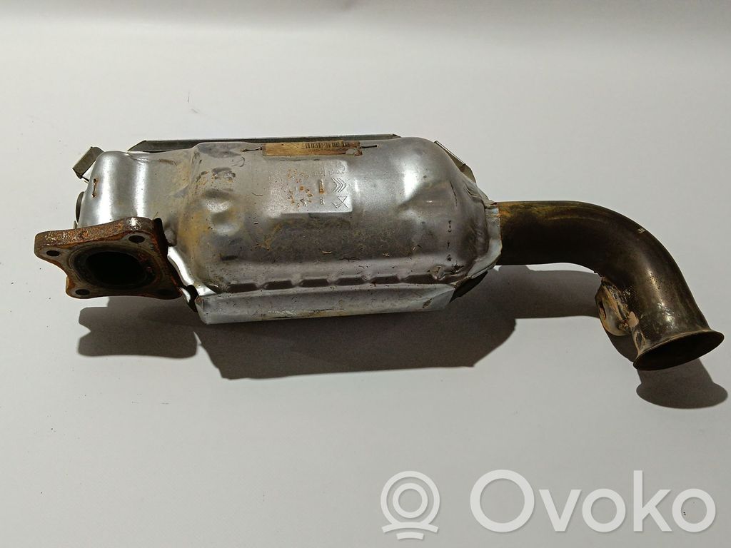 Citroen C3 Filtro antiparticolato catalizzatore/FAP/DPF