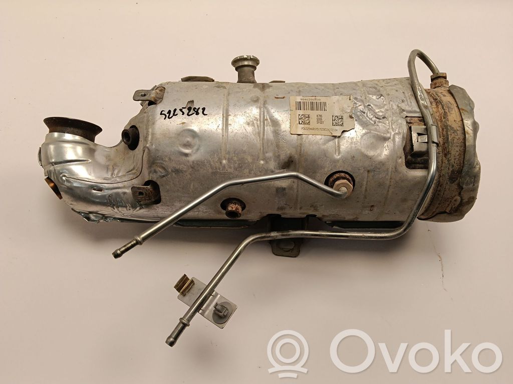 Citroen Berlingo Catalyst/FAP/DPF particulate filter 