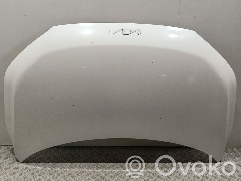Engine bonnet/hood