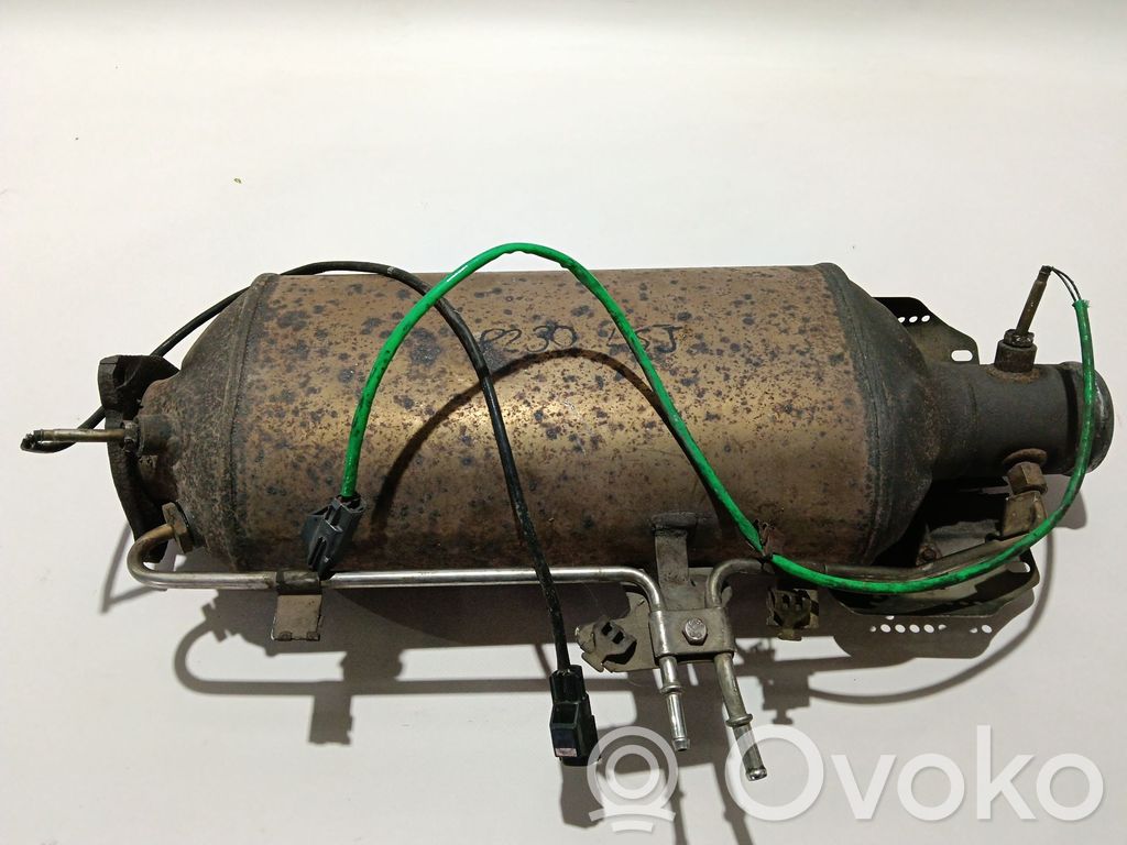 Filtr cząstek stałych Katalizator / FAP / DPF   AH225H240AC,LR013742,LR056206
