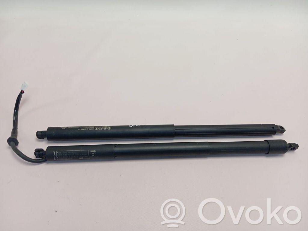 Lexus LBX Amortiguador del maletero/compartimento de carga 