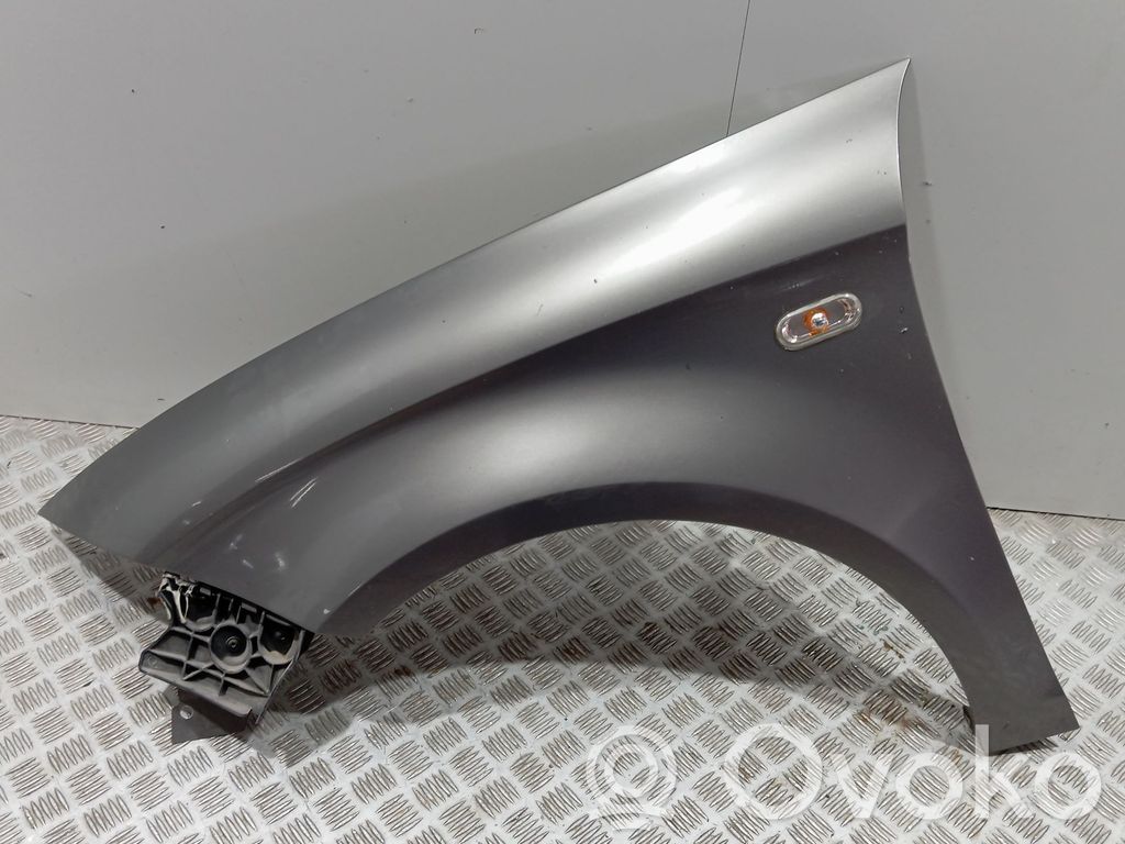 Guardabarro   5P0821021