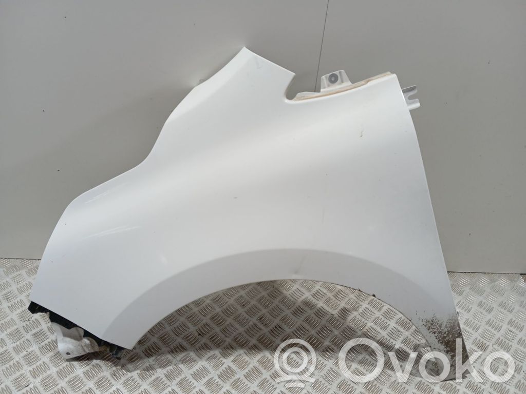 Renault Kangoo III Fender 
