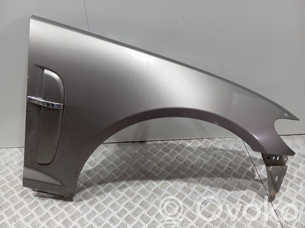 Jaguar XF X250 Guardabarro 