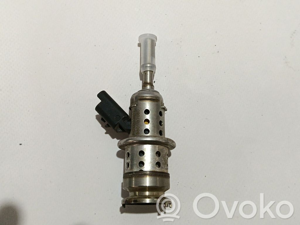 Polttoainesuutin   9801187080