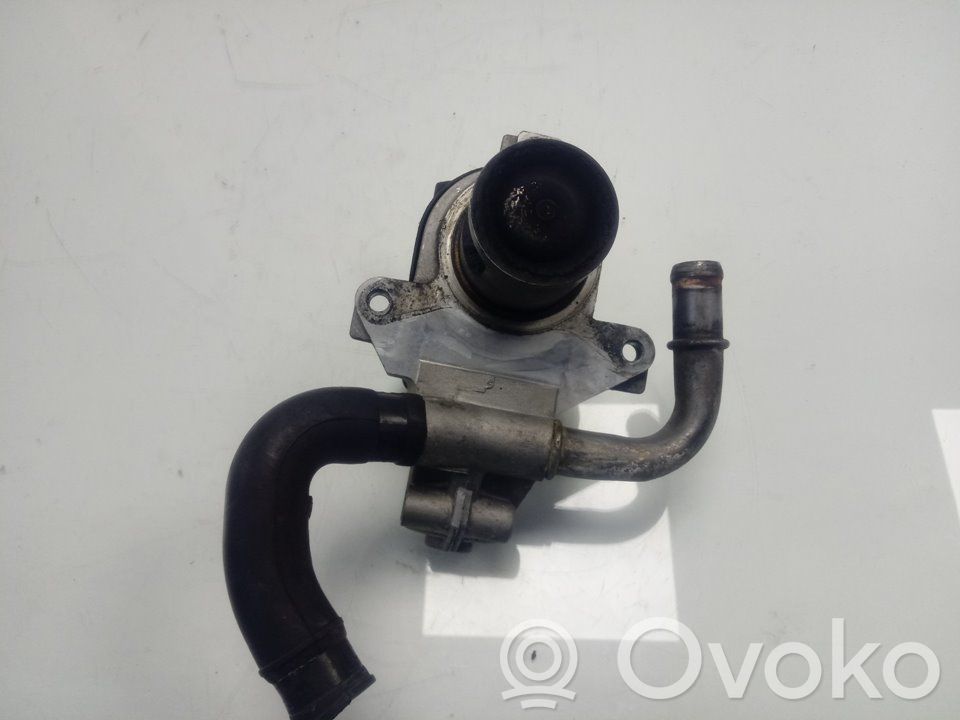 Zawór EGR   70036814