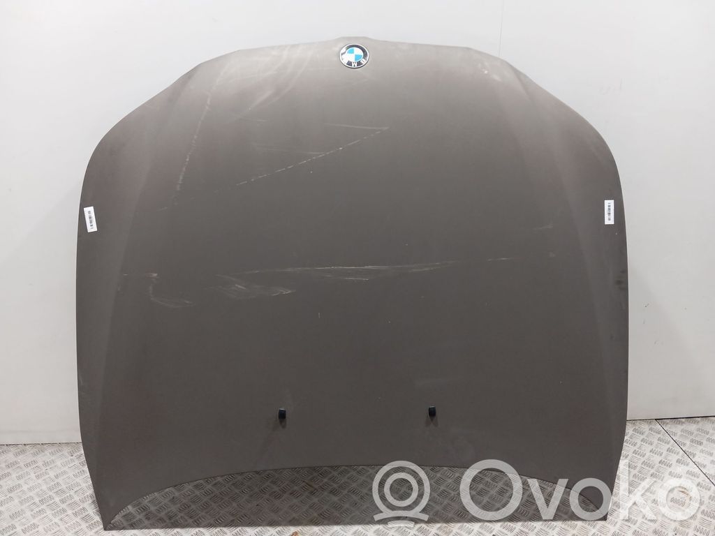 Capó/tapa del motor   41617111385