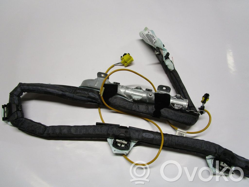 Ford Focus Airbag del techo 