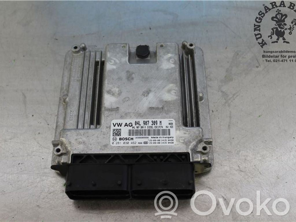 Engine control unit/module   0281030462,04L906026FP,04L906026FN,04L906026DS,04L906026DS3G0,04L906026FM,04L906026FM3V0,04L906026FQ,04L906026FT,04L906026GA,04L906026MT,04L907309M