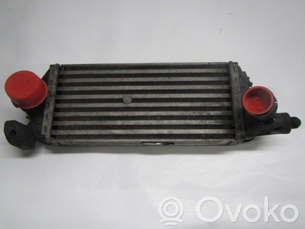 Mini One - Cooper R50 - 53 Interkūlerio radiatorius 