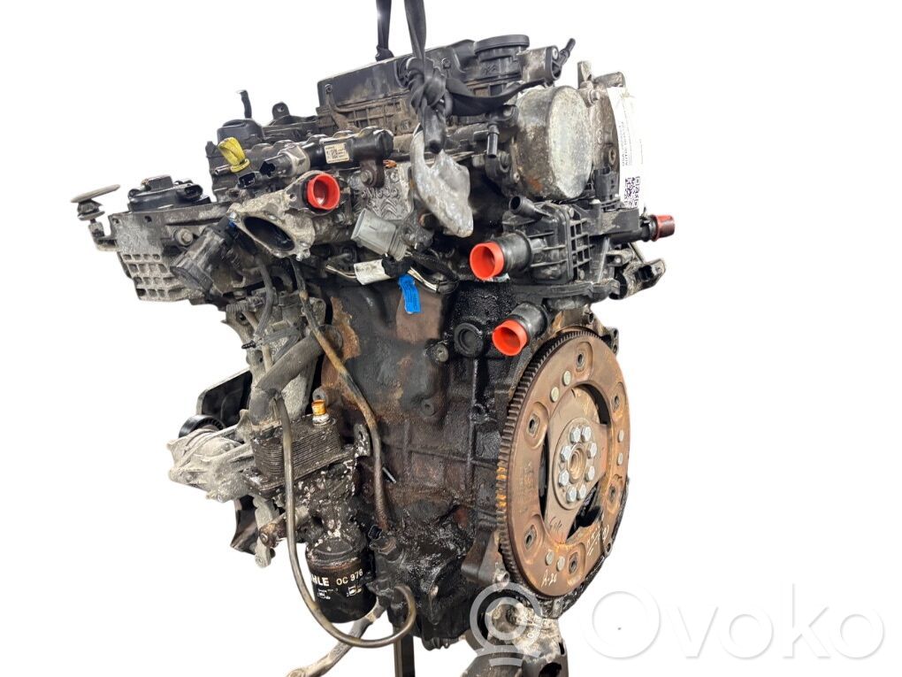 Engine   AHH,1615092680,1614383480,1609068480,1609073180,1609121680,1609977580,1612095480,1613251280,1614389680,1615092780,1635847480,1637130680,1673303280,1673313780,1863970,1863986,1864346,1879655,1882431,4HH,4WZFTV,9802511380,9807255910,9833791280,AH01,AHJ,AHN,AHP,AHR,AHS,AHV,AHW,AHX,DS7Q6006BA,DS7Q6011AA,DW10FC,DW10FD,DW10FE,DW10FUC,DW10FUD,EHZ,SU001B2471,T7CE,T7CL,T7DB,T7MA,T7MB,T7MD,T8CC,T8CJ,T8MA,XRMA
