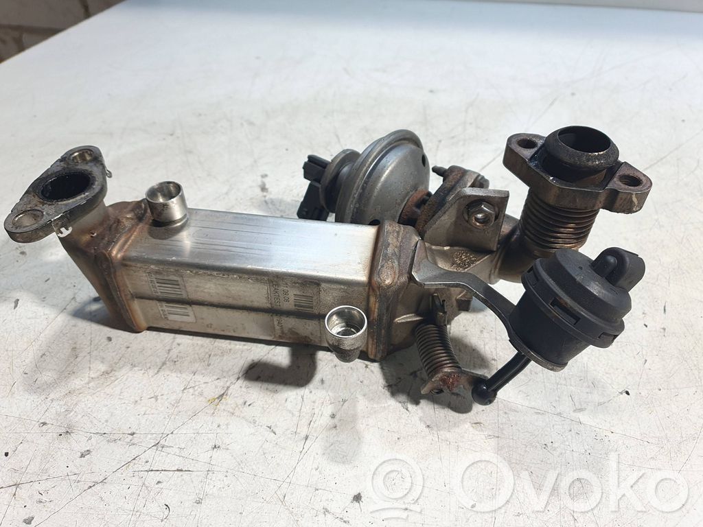 BMW 5 E60 E61 EGR aušintuvas 