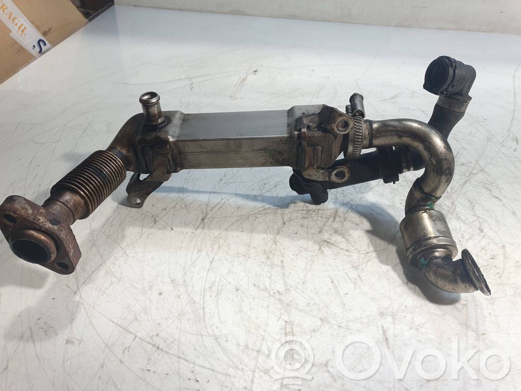 EGR valve cooler   65A102