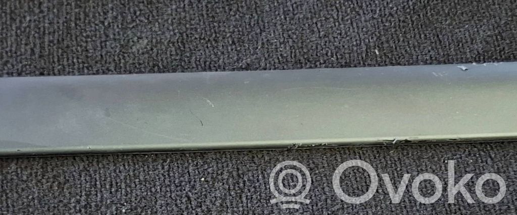 BMW 3 E46 Moldura del panel (Usadas) 