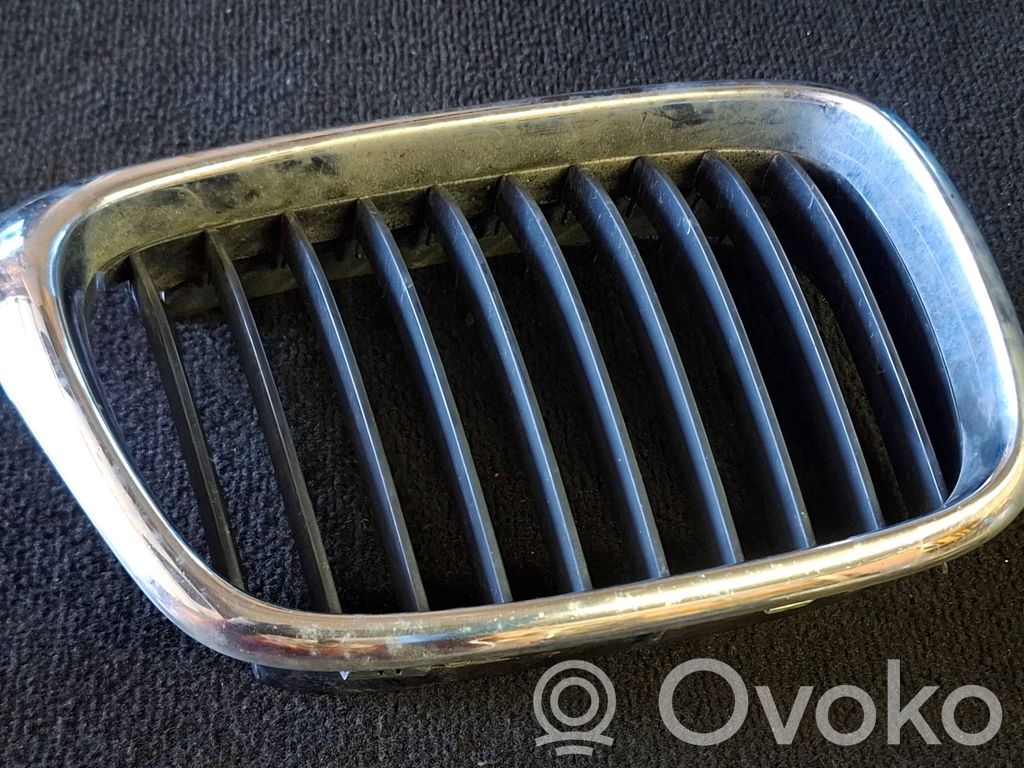 BMW 5 E39 Griglia anteriore 