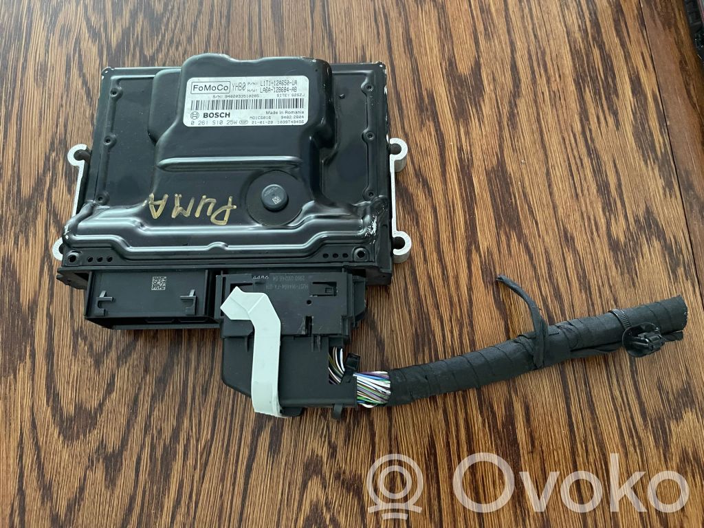 Ford Puma Engine control unit/module 