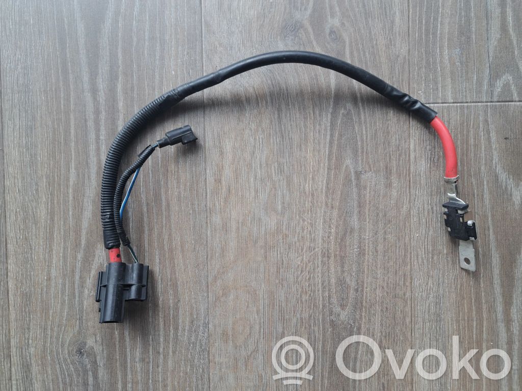 Ford Focus Citi elektroinstalācijas vadi 