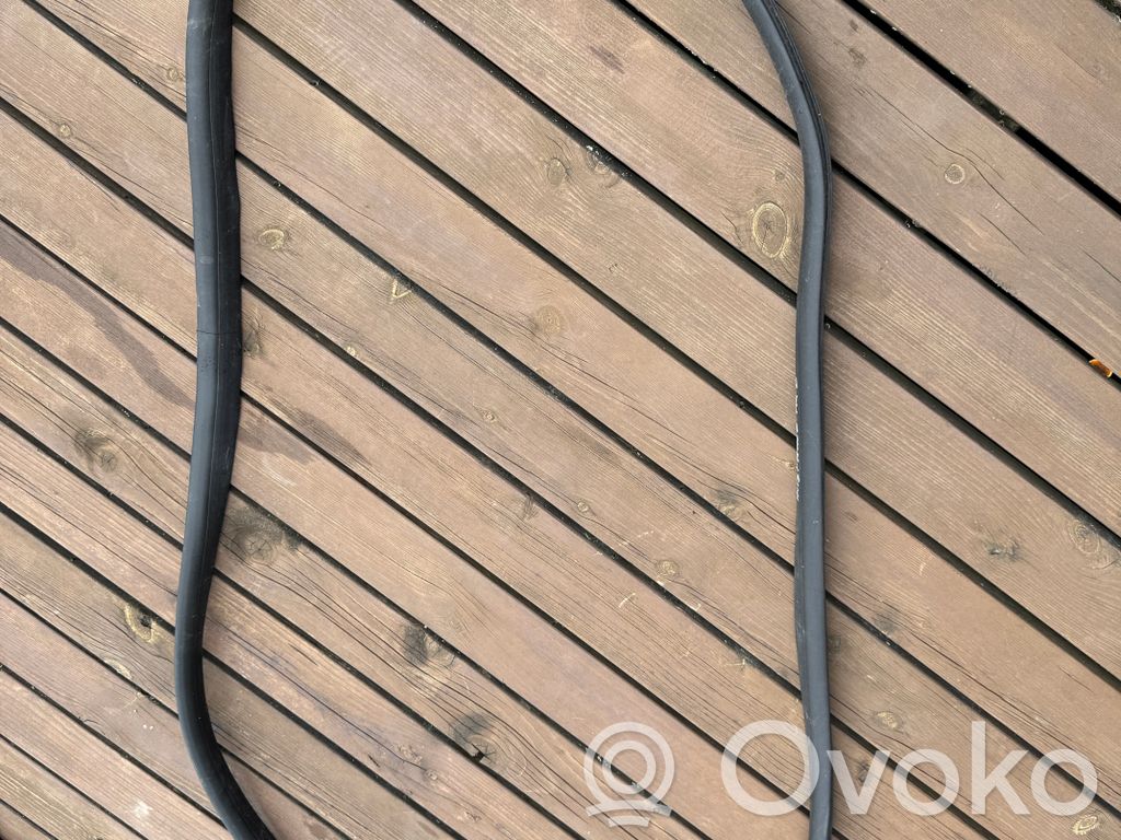 Renault Austral Front door rubber seal 