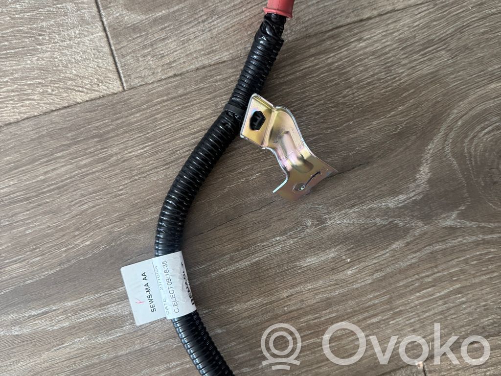 Renault Megane E-Tech Other wiring loom 