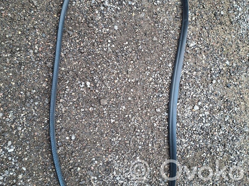 Renault Megane E-Tech Front door rubber seal 