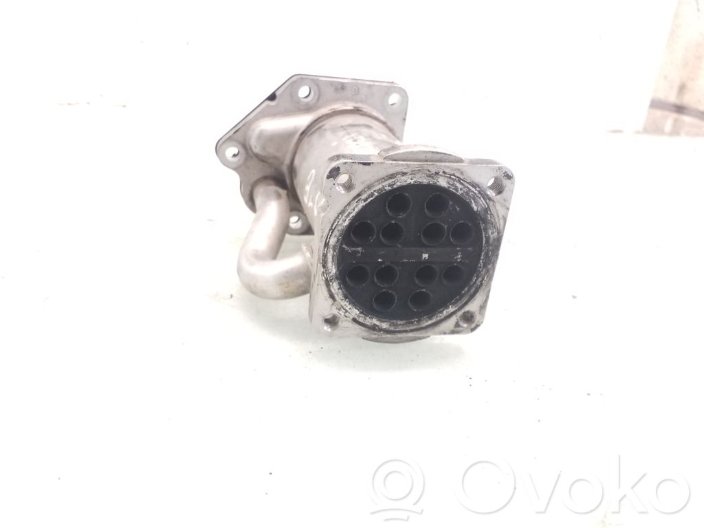 EGR aušintuvas   8200729079