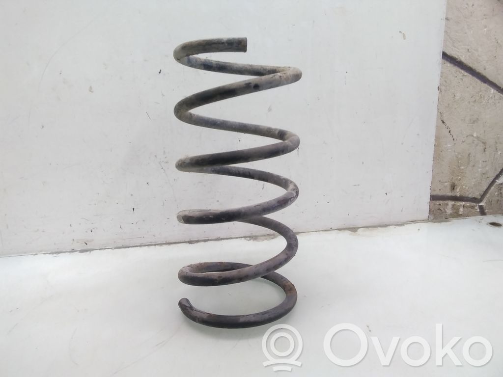 Rear coil spring
