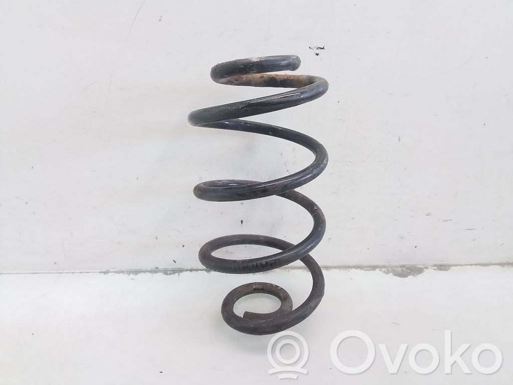 Rear coil spring