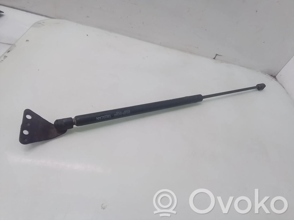 Tailgate strut   K1012