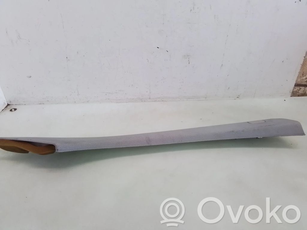 Pilar (A)   09180531