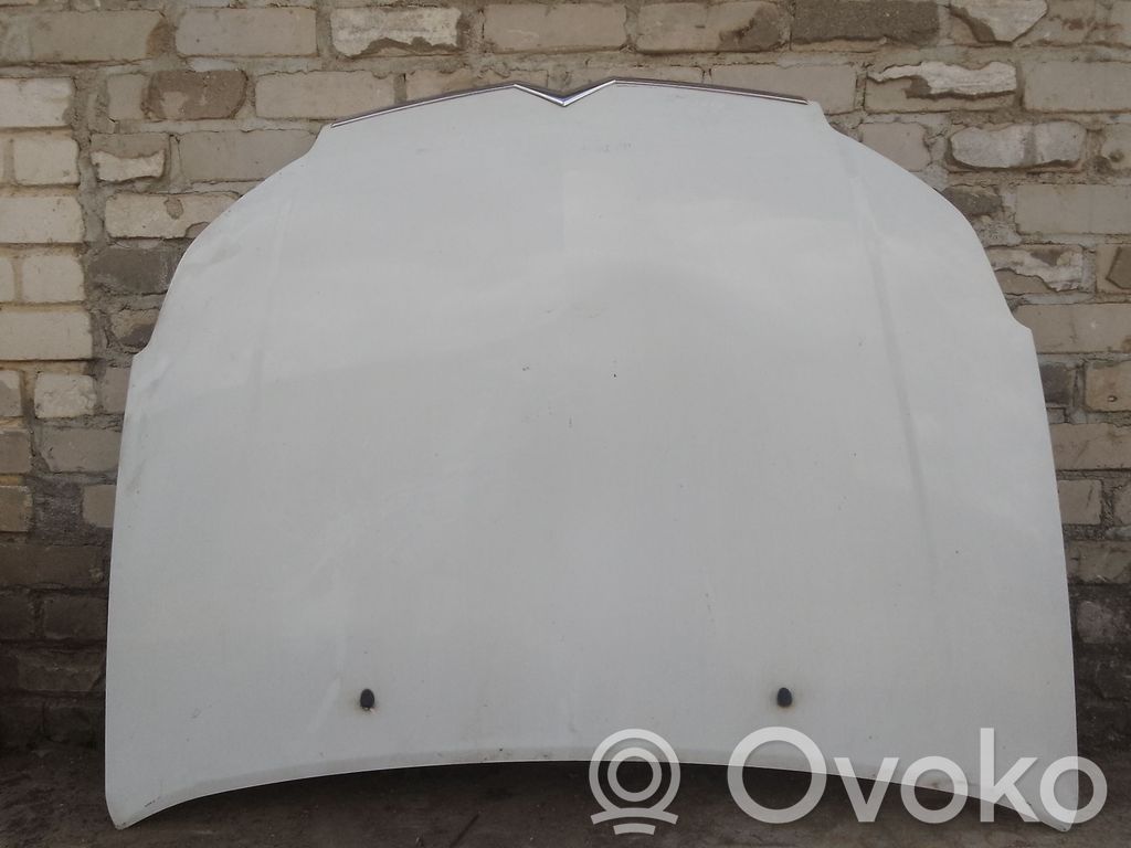 Vano motore/cofano