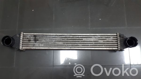Radiador intercooler   1695000000,1695000900