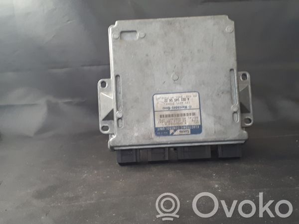 Mercedes-Benz E W210 Engine control unit/module 
