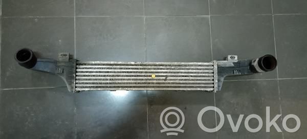 Interkūlerio radiatorius   2105001300,A2105001300