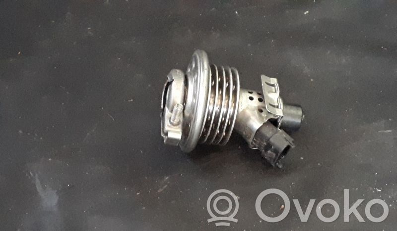 Inyector de combustible   0004901013,A0004901013