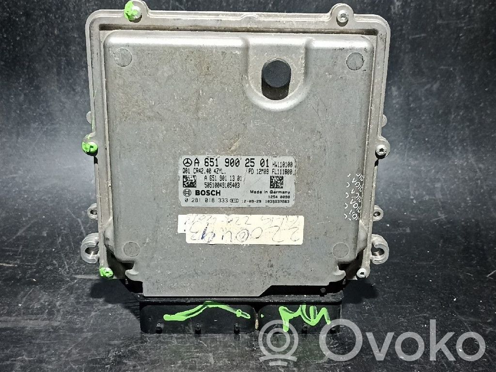 Engine control unit/module   6519002501,Q01CR42404ZYL