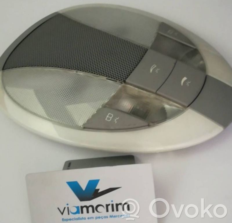 Headlining lighting console trim   2118206601,CINZA,TRASEIRO