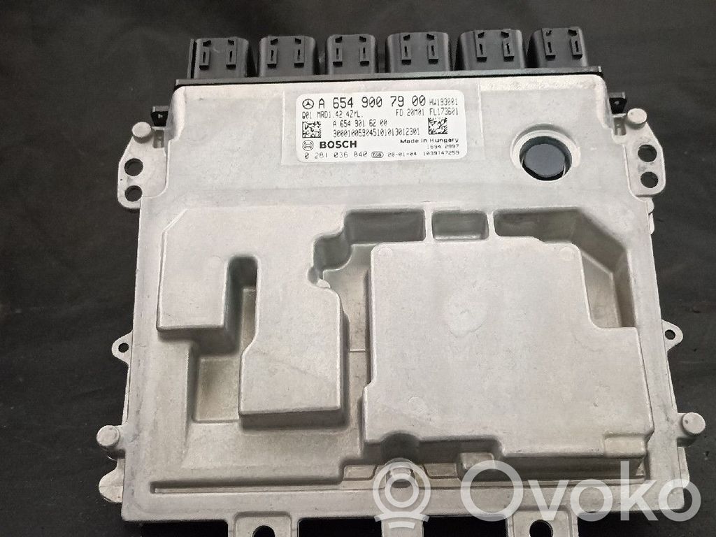 Engine control unit/module   6549007900,6549009600,Q01MRD142