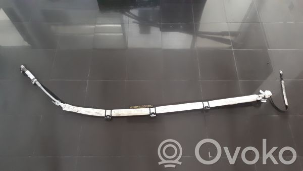 Airbag del techo   2118600905,A2118600905,CARRINHA,ESQUERDO
