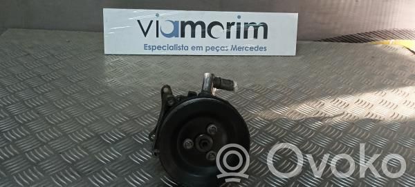 Servopumpe   0024661901,A0024661901