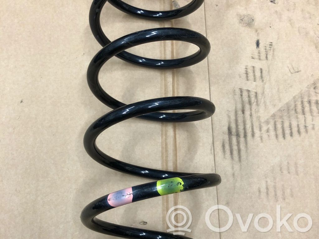 Rear coil spring